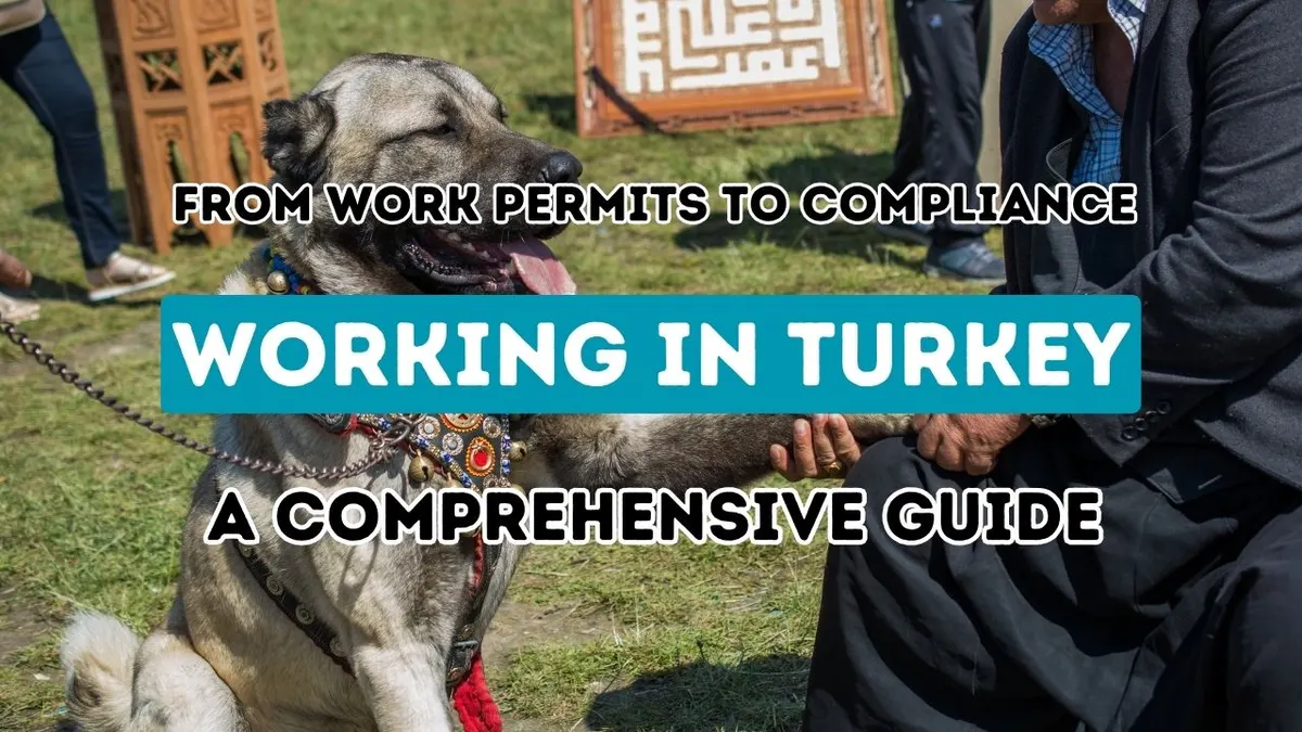 The Ultimate Manual for Employment in Turkey: Navigating Work Permits and Legal Adherence