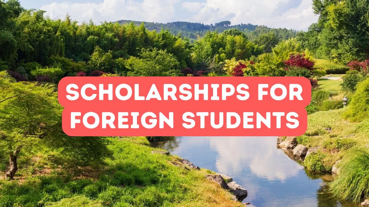 Scholarship Opportunities for Foreign Students in Turkey