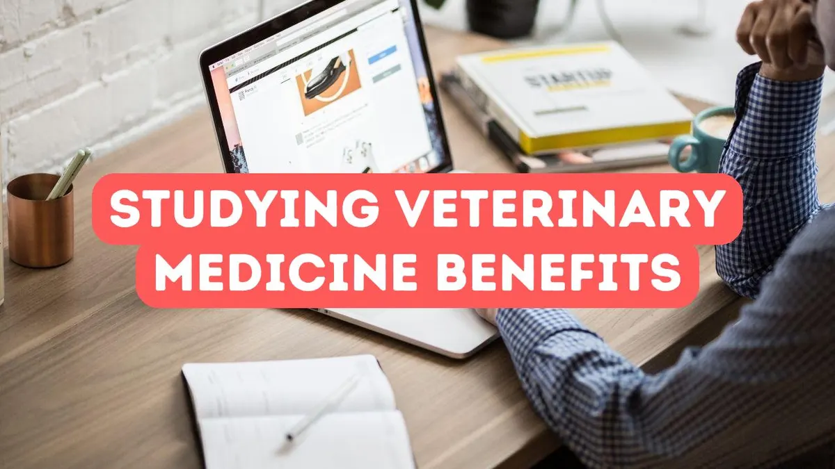 The Benefits of Studying Veterinary Medicine in Turkey