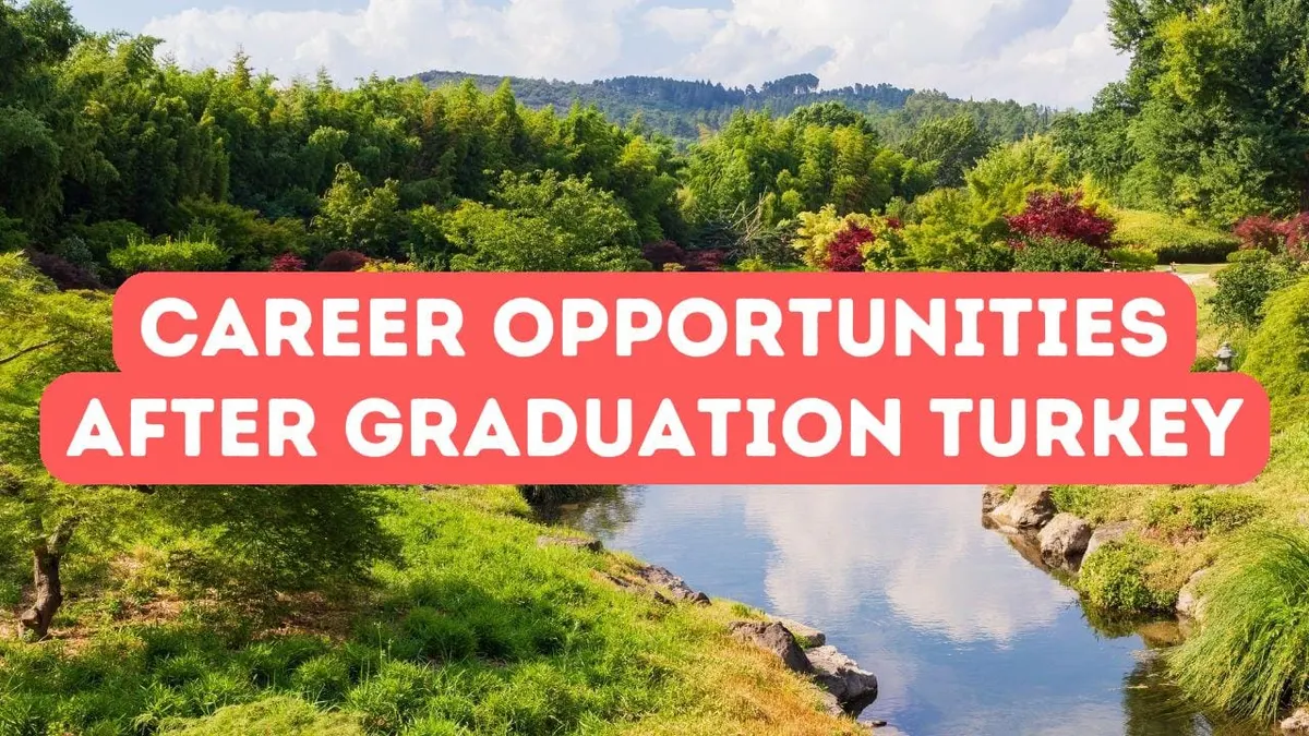 Career Opportunities After Graduation in Turkey
