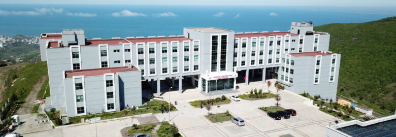 Samsun University