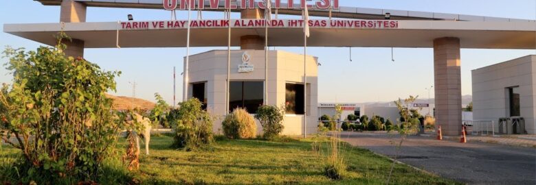 Siirt University