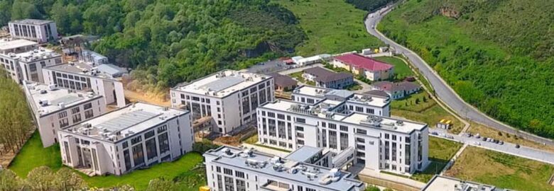 Türk-Alman University