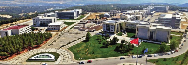 Usak University