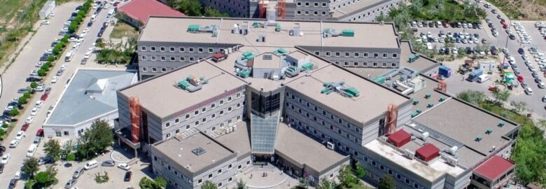 Van Yüzüncü Yil University