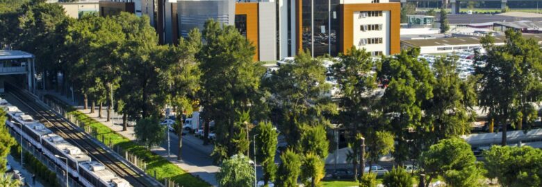 Yasar University